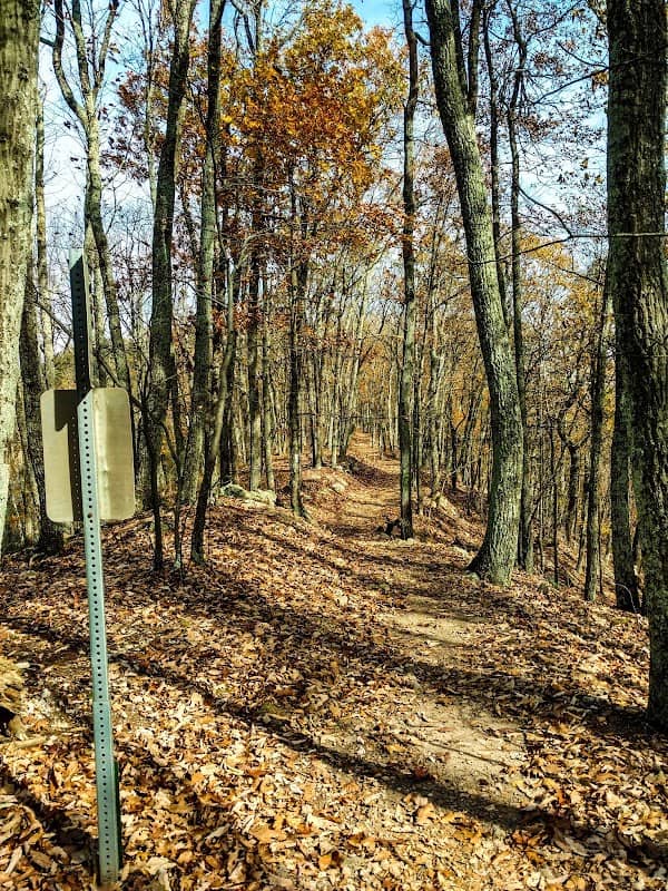 Read Mountain Preserve - Image 1