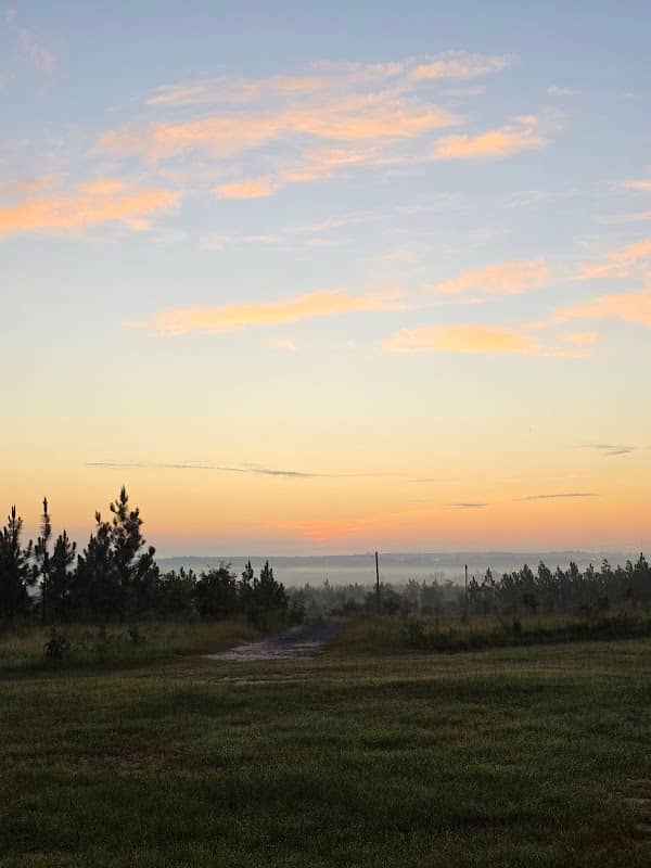 Sandhills Wildlife Management Area - West tract - Image 1