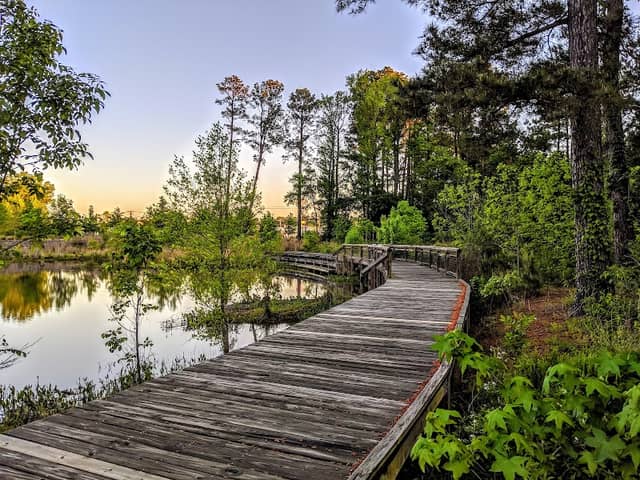 Hendrix Creek Preserve - Image 3