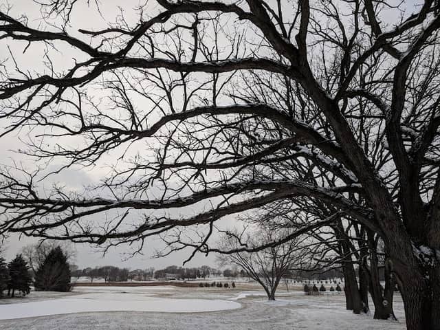 Lake Windsor Park - Image 2