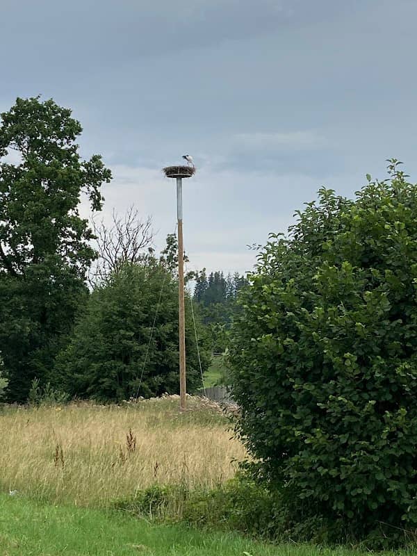Storchennest - Image 1