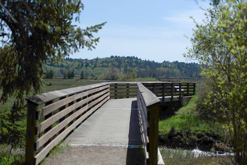 Union River Wildlife Area Unit - Image 1