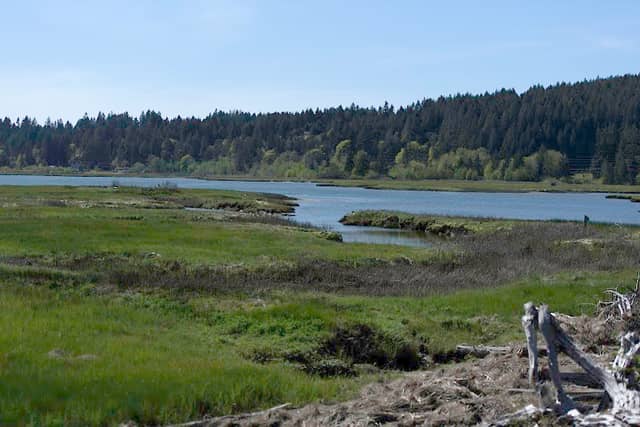 Union River Wildlife Area Unit - Image 2