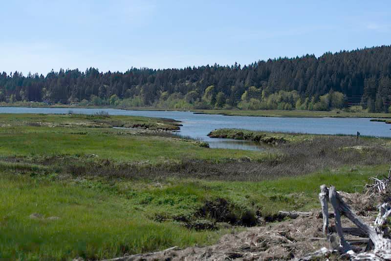 Union River Wildlife Area Unit - Image 2