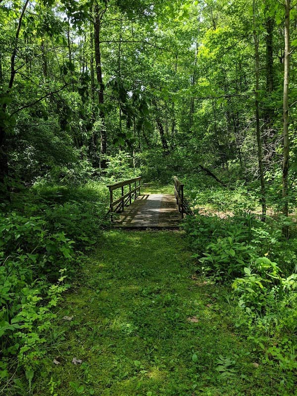 Desonier State Nature Preserve - Image 2
