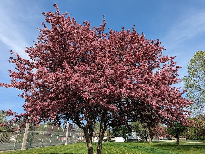Kiwanis park - Image 2