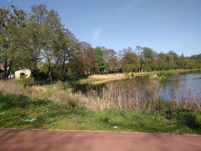 Ścieżka Spacerowa Wokół "Błotka" - Image 1