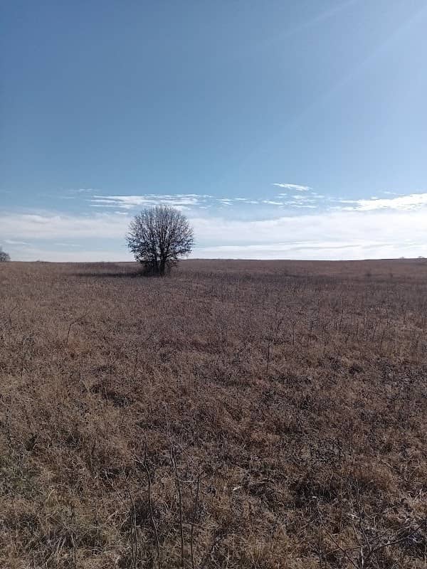 Prairie - Image 1