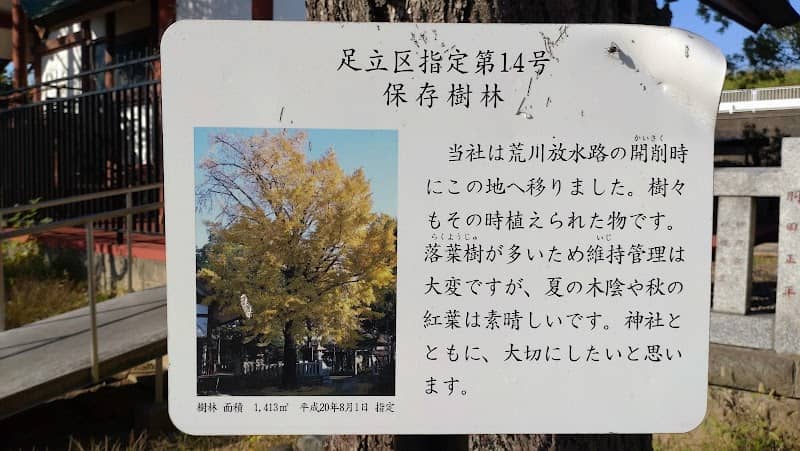 足立区指定第14号保存樹林 - Image 2