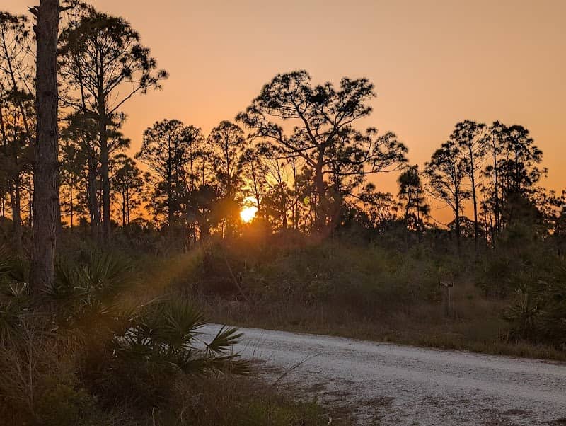 Myakka State Forest - Image 2