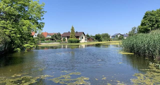 Zeiler Stadtsee - Image 1