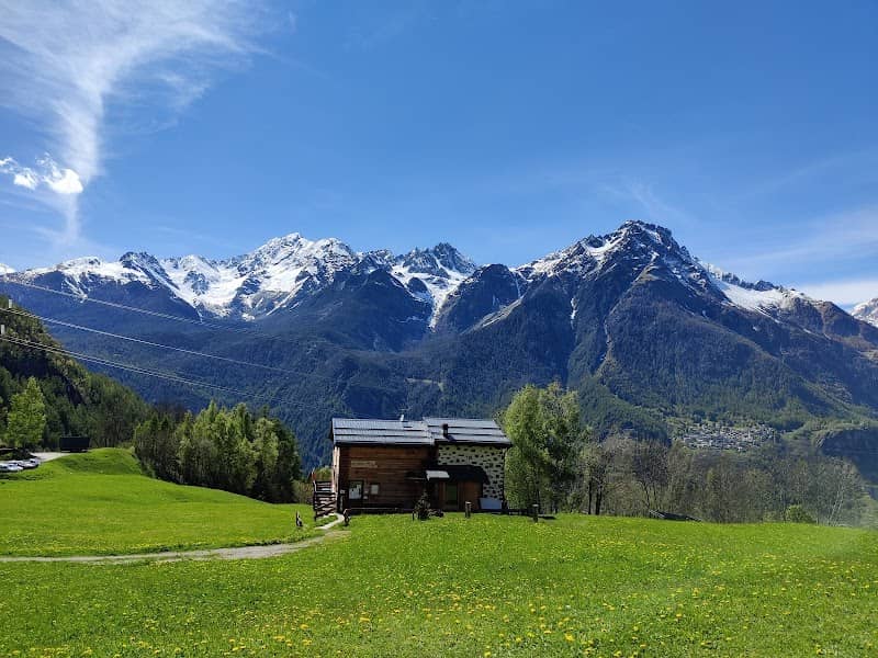 Prabellino - Image 2