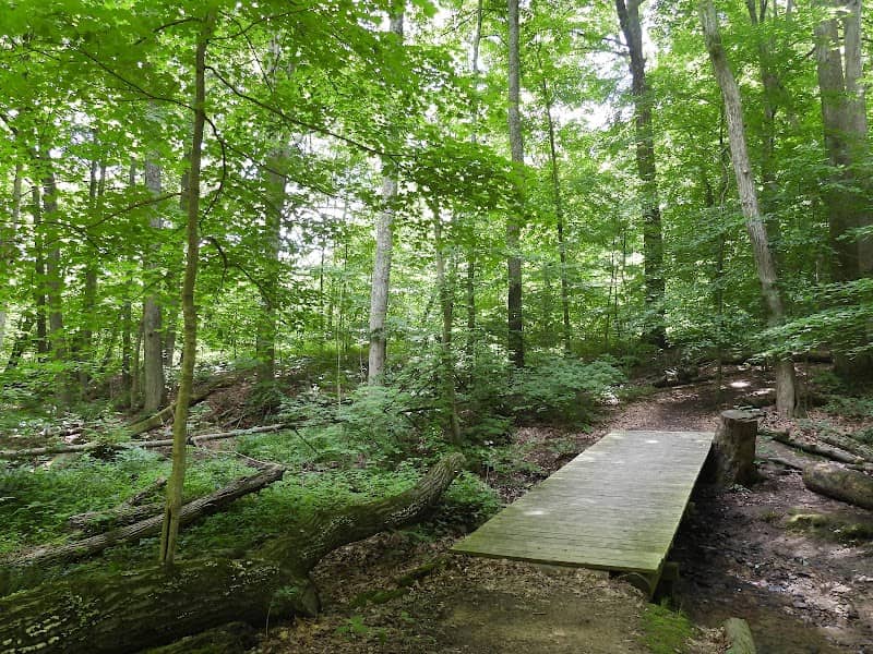 Wolf Run Regional Park - Image 2
