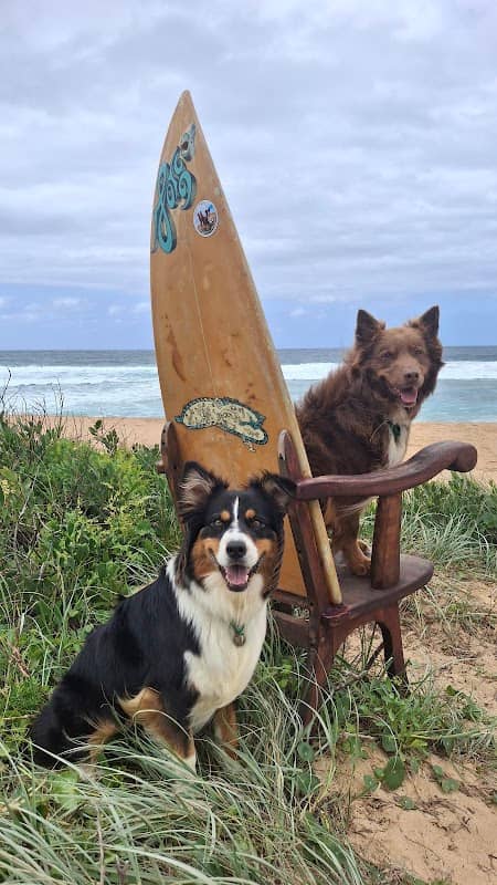 Werri Beach Surf Chair - Image 1