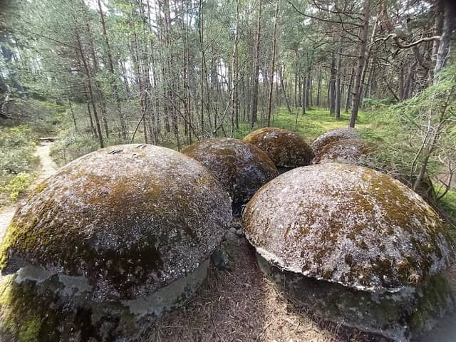 Kopuły schronów obserwacyjnych - Białogóra - Image 1