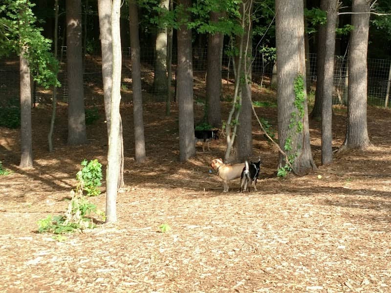Central Bark Park - Image 1