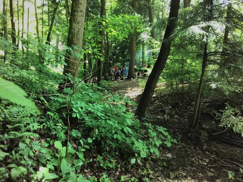 Slippery Rock Gorge Natural Area - Image 2