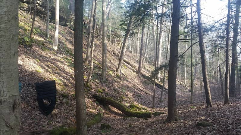 Slippery Rock Gorge Natural Area - Image 1