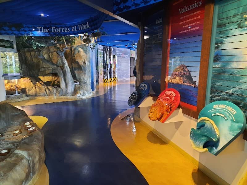 Museum of Natural History - Image 2