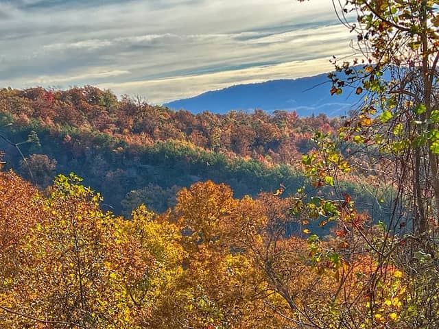 Kentenia State Forest - Image 2