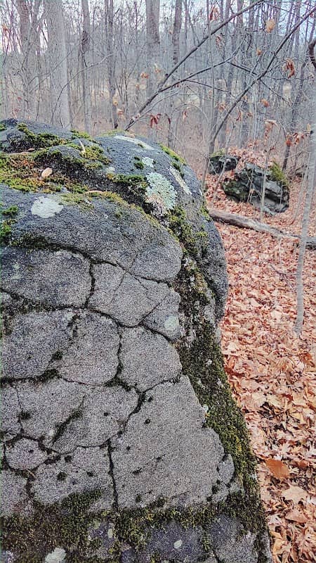The Brooke Rock - Image 2