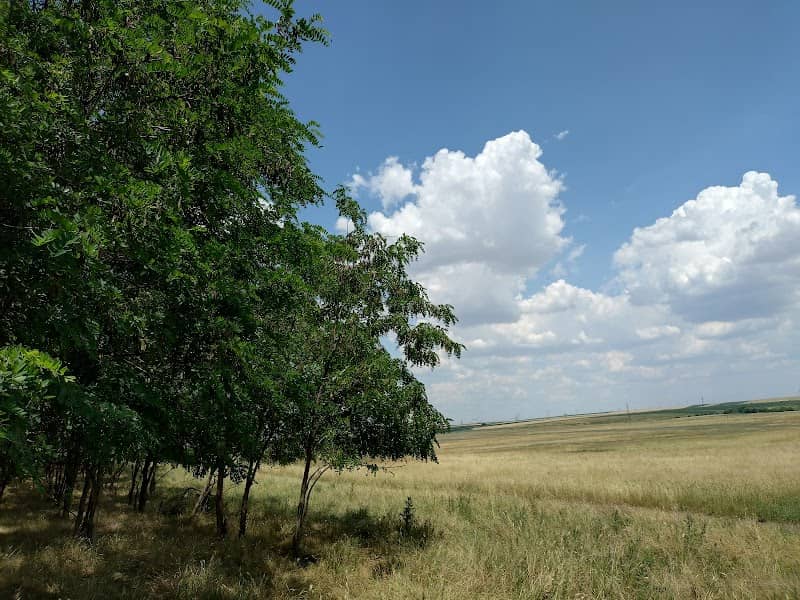 Poieniță - Image 2
