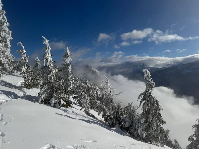Elk Mountain Summit - Image 1