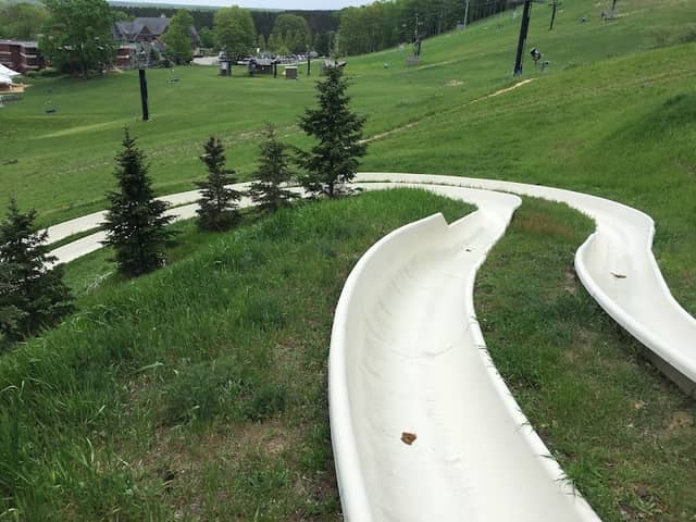 Alpine Slide - Image 2