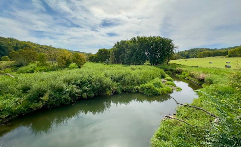 Cannon River Aquatic Management Area - Subunit 3 - Image 1