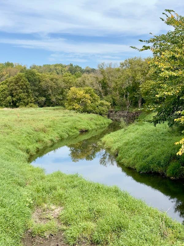 Cannon River Aquatic Management Area - Subunit 3 - Image 2
