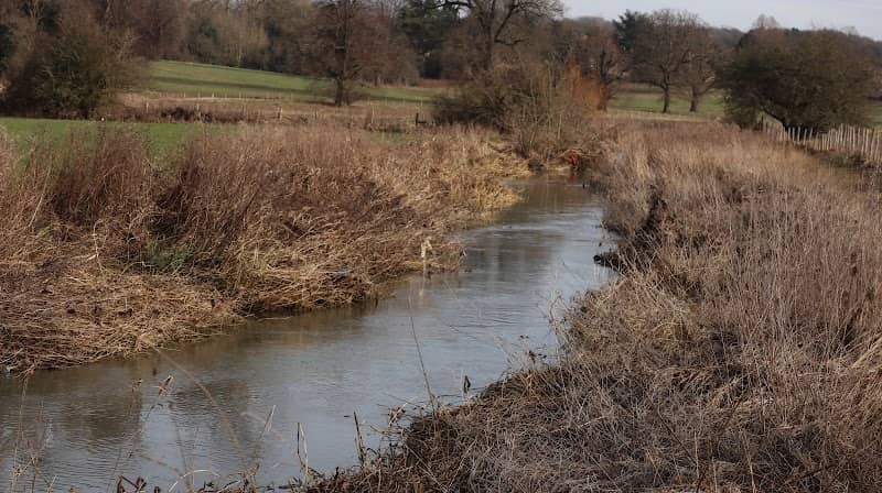 Wicksteed Water Meadows Nature Reserve - Image 2