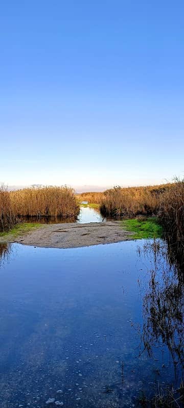 İğneada kuş gözlem kulesi - Image 1