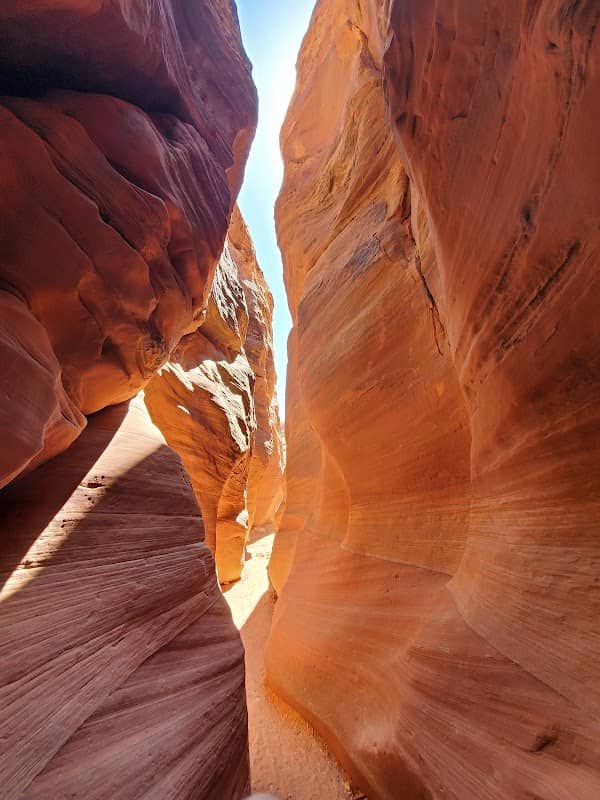 Buckskin Gulch Petroglyphs - Image 1