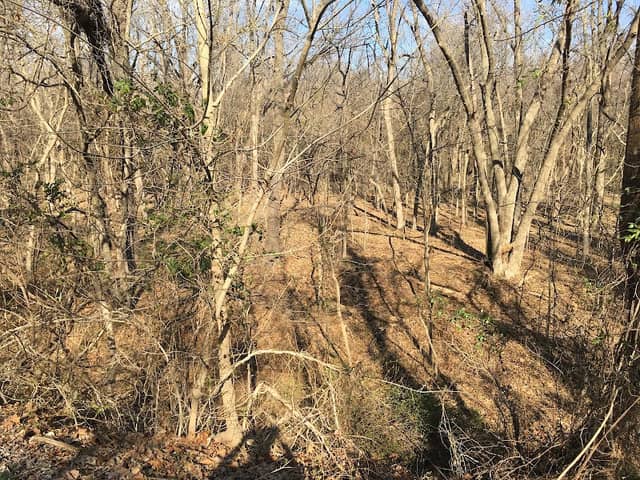 Frisco Greenway Trailhead - St Louis Street - Image 1