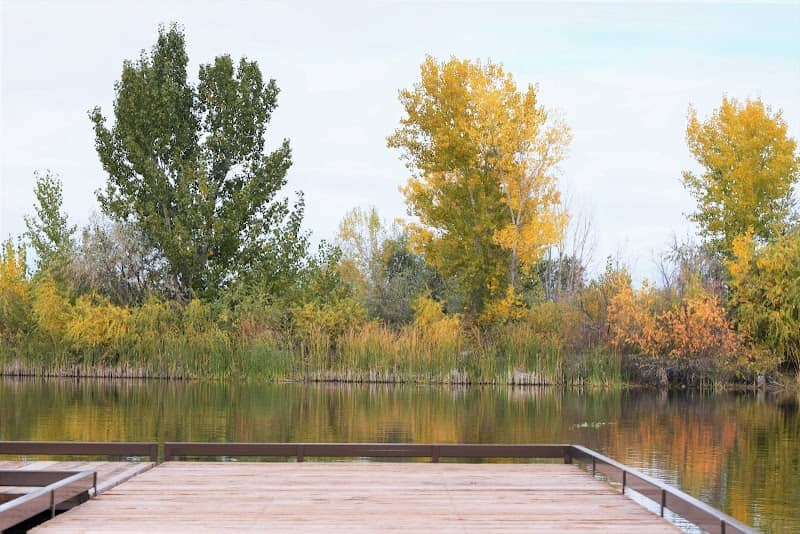 Rotary Pond Park - Image 2