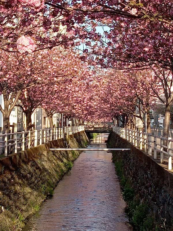 Higashimachi Park - Image 1