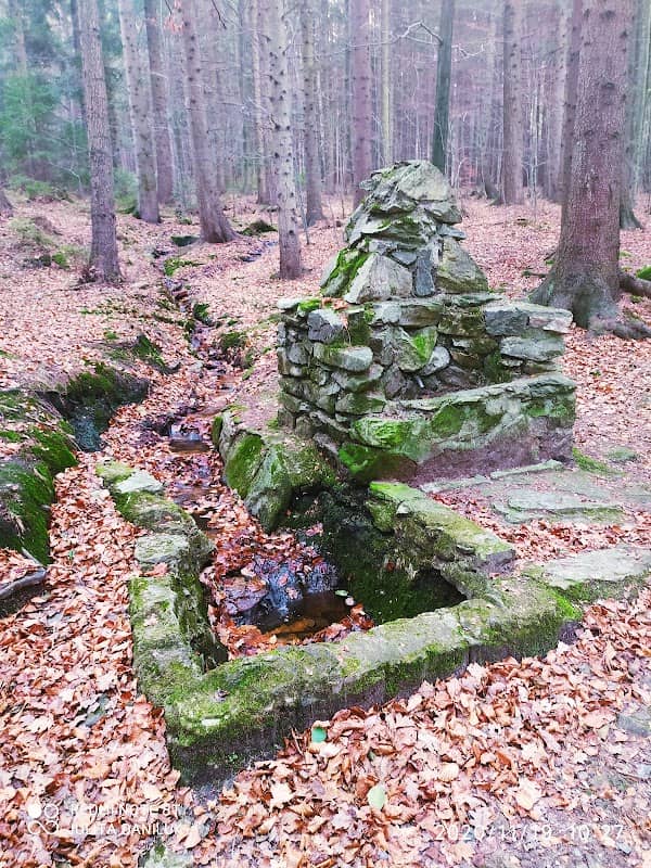 Źródło Józefiny - Image 1