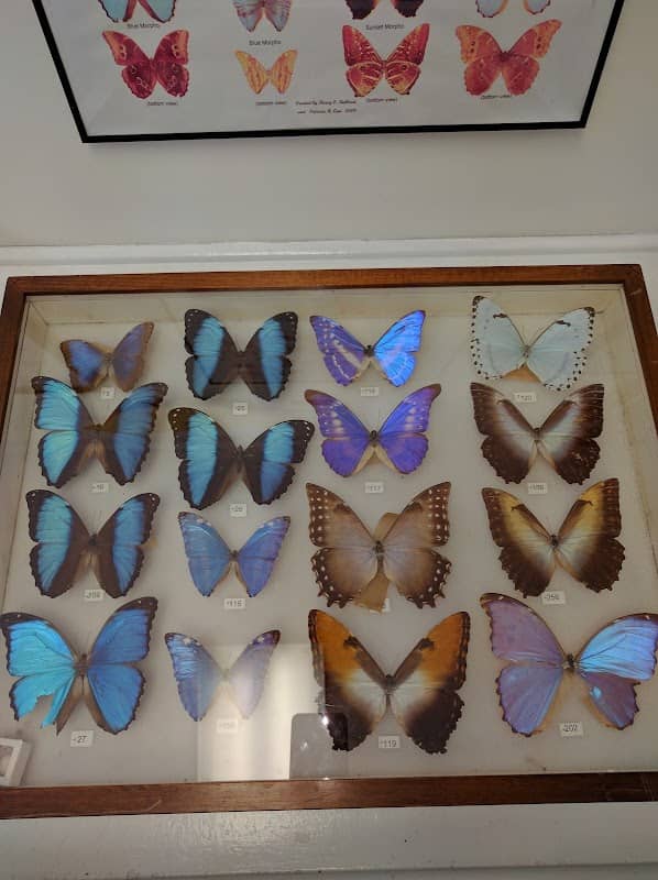 Friends of Panhandle Butterfly House - Image 1