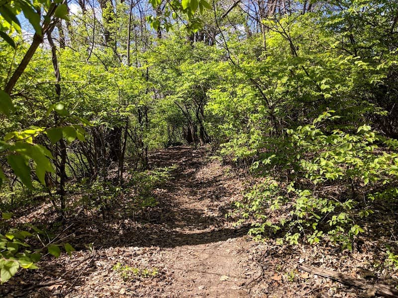 Harry S. Truman Park - Image 1
