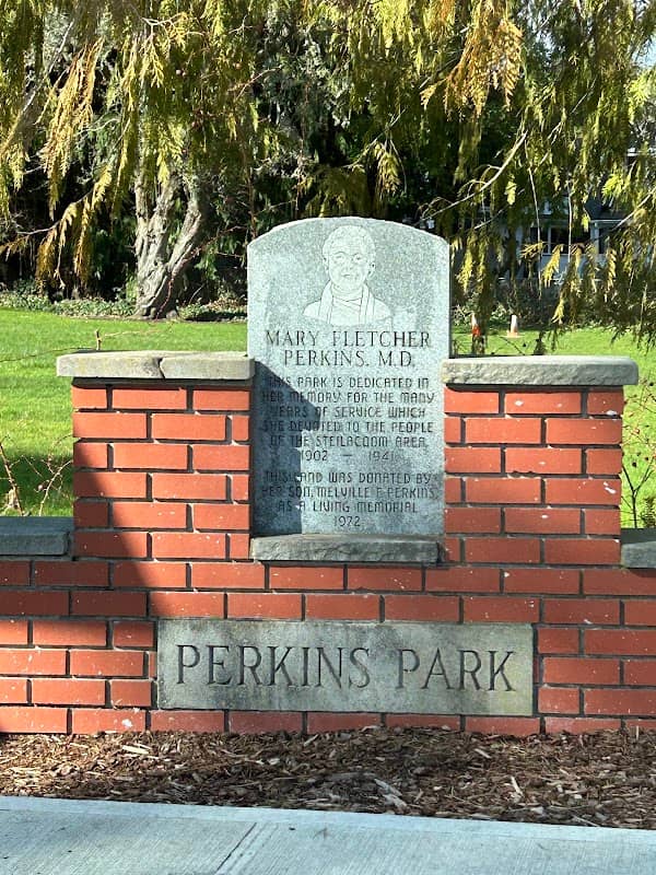 Steilacoom Perkins Park & Playground - Image 1