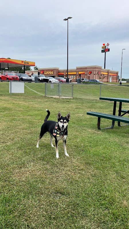 Dog Park at Love's Travel Stops - Image 1