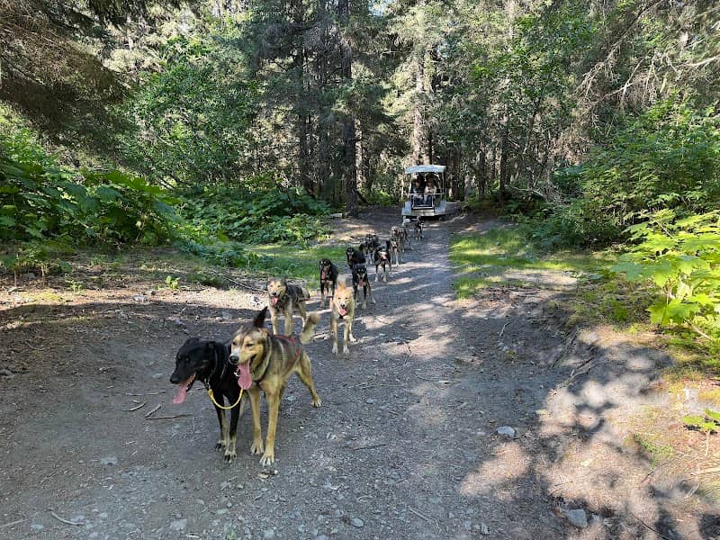 IdidaRide Sled Dog Tours - Image 1