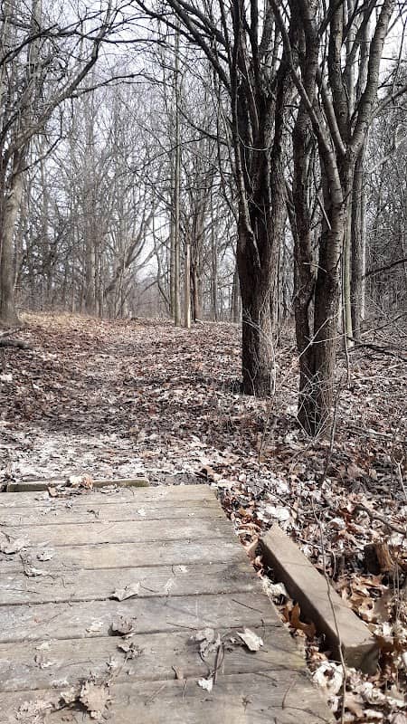 Hopkins Lake Park - Image 2