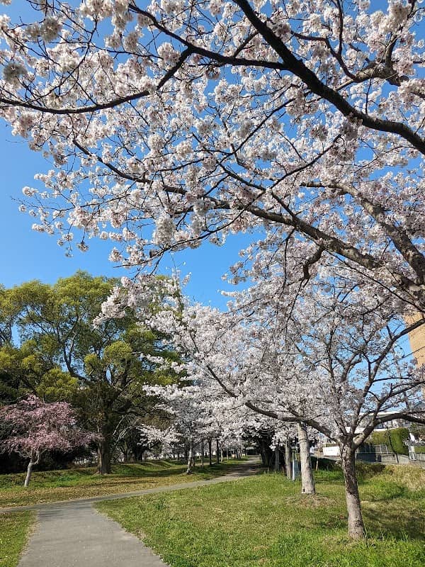 御塚・権現塚史跡の広場 - Image 1