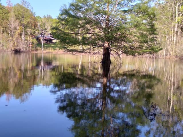 Depot Creek Greenway - Pavilion - Image 2