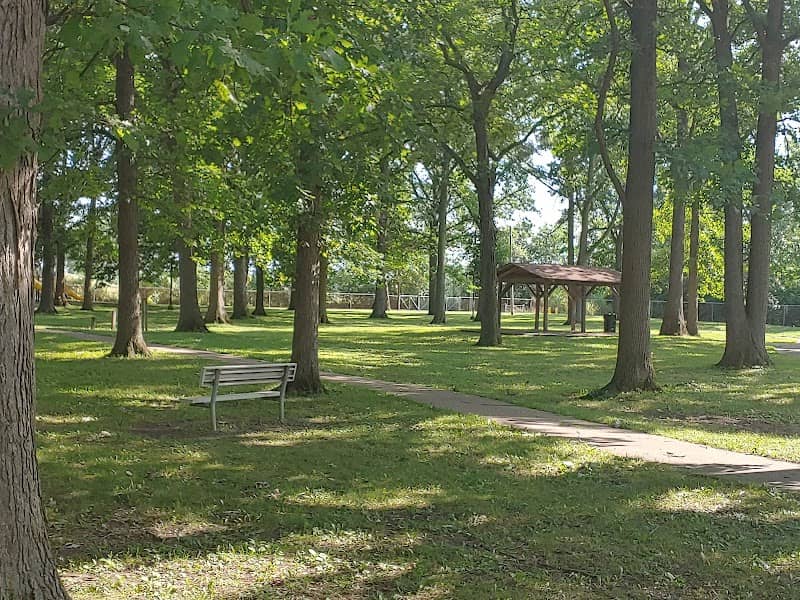 Lion's Park - Image 1