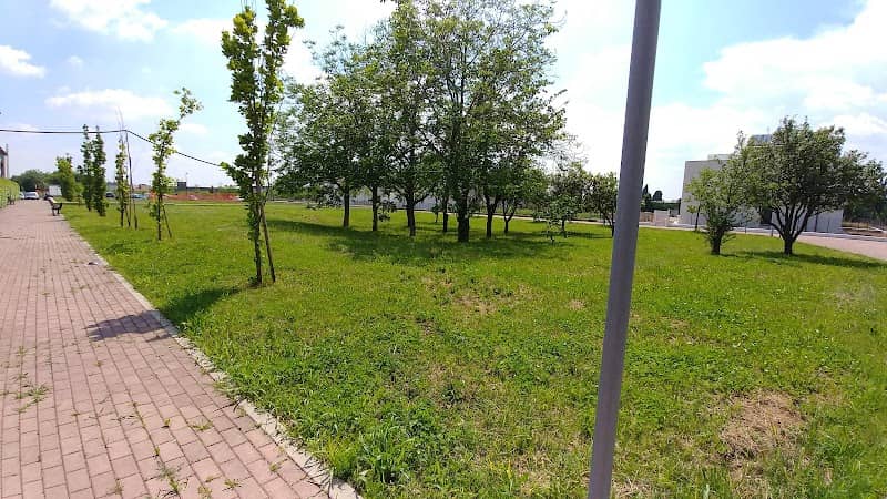 parchetto - Image 1