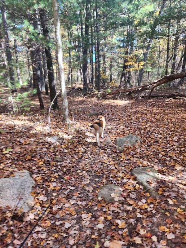 Carrs Pond Loop - Image 1