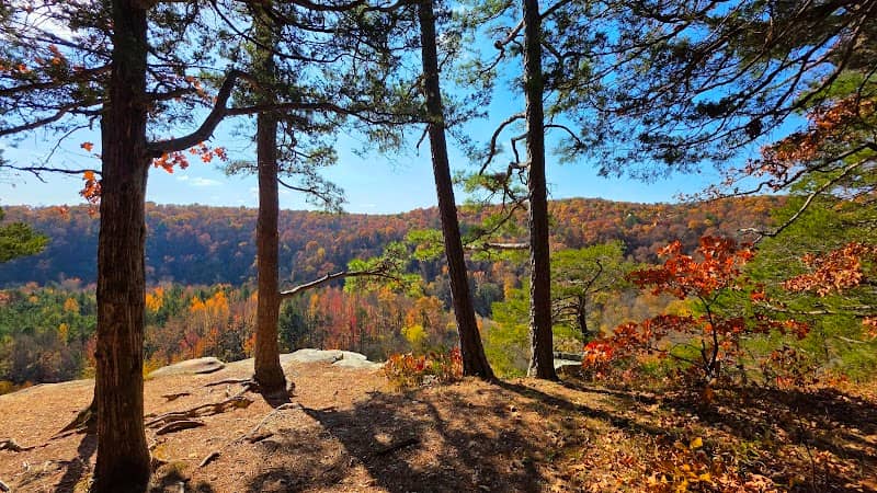 Kings River Overlook - Image 2