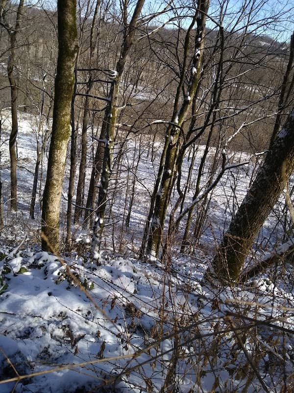 TN Sullivan WMA - Image 1